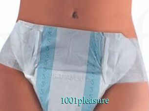 1001pleasure