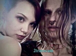 2_trans_cam