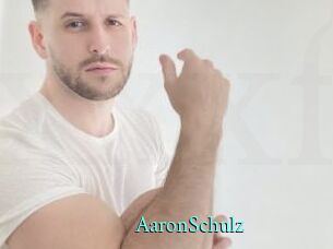 AaronSchulz