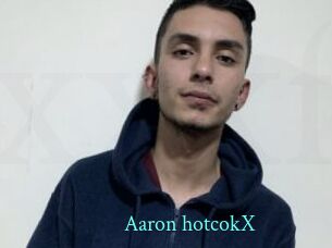 Aaron_hotcokX