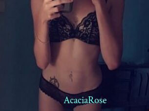 AcaciaRose