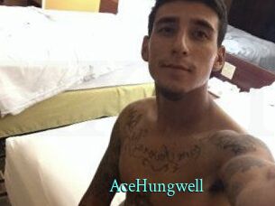 AceHungwell xxx Fantasy Land