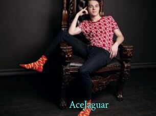 AceJaguar
