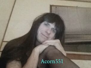 Acorn551