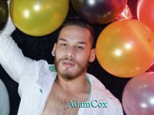 AdamCox xxx Fantasy Land