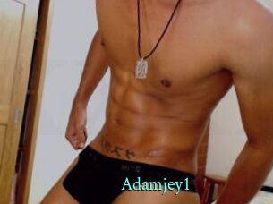Adamjey1