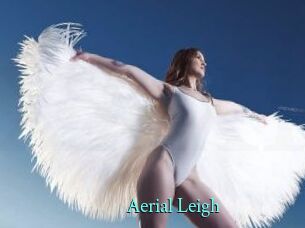 Aerial_Leigh