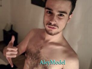 AleyModel