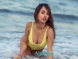 AlicePipp