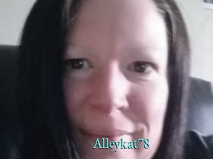 Alleykat78 xxx Fantasy Land