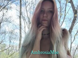 AmbrosiaMae