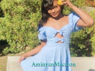 AminyanMacaron