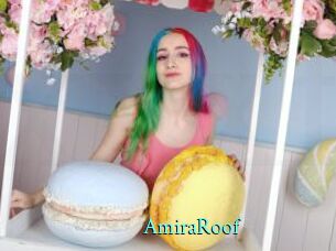 AmiraRoof