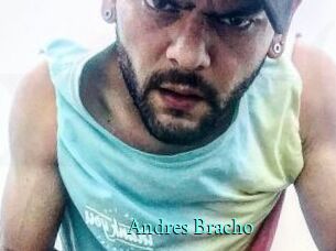 Andres_Bracho