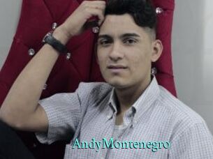 AndyMontenegro