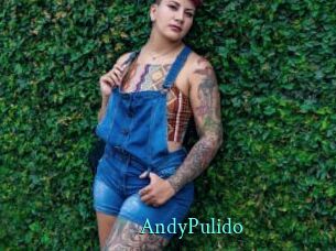 AndyPulido