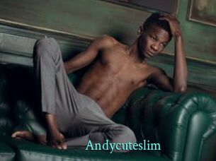 Andycuteslim