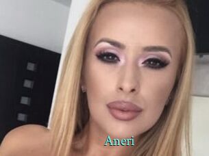 Aneri