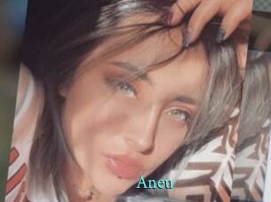 Aneu