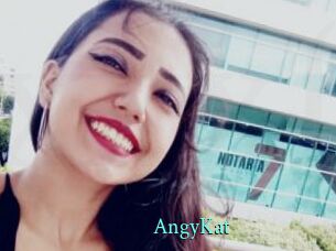 AngyKat