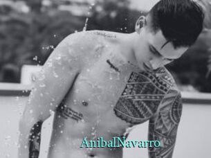 AnibalNavarro