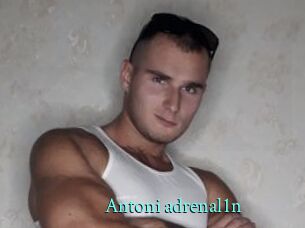 Antoni_adrenal1n