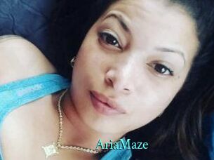 Aria_Maze