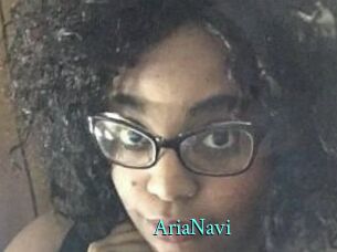 AriaNavi