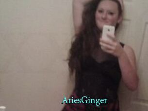 AriesGinger