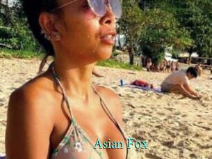 Asian_Fox