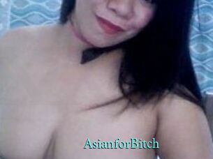 AsianforBitch xxx Fantasy Land