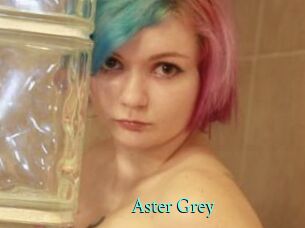 Aster_Grey