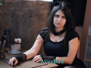 AviceBird