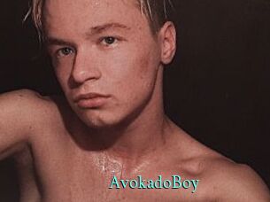 AvokadoBoy