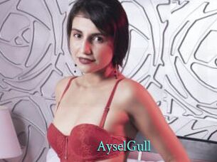 AyselGull