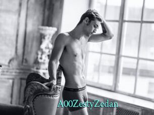 A00ZestyZedan