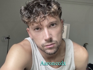 aaronccdx xxx Fantasy Land