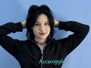 Accacopple