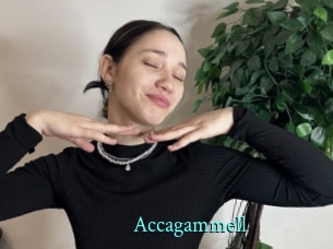 Accagammell