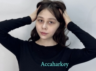 Accaharkey