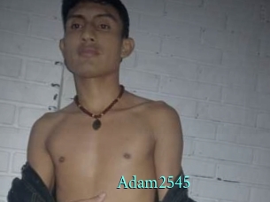 adam2545 xxx Fantasy Land