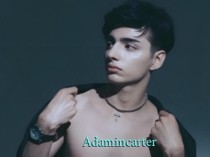 adamincarter xxx Fantasy Land