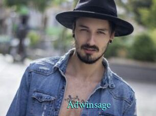 Adwinsage