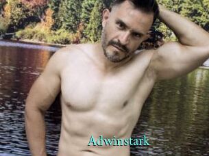 Adwinstark