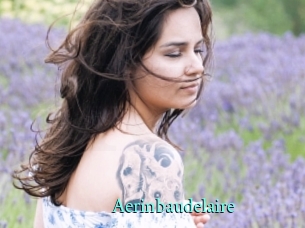 Aerinbaudelaire