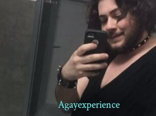 Agayexperience