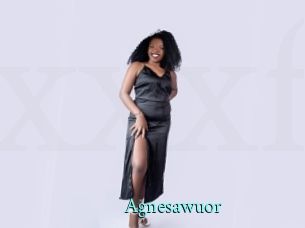 Agnesawuor