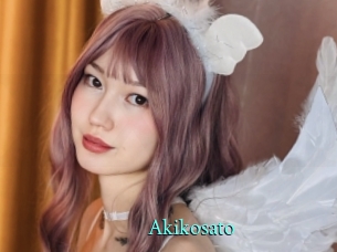 akikosato xxx Fantasy Land