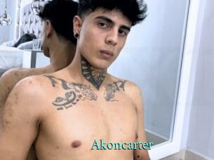 akoncarter xxx Fantasy Land