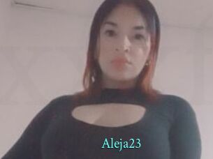 Aleja23
